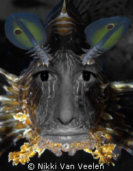 Self portrait - I + Lionfish by Nikki Van Veelen 
